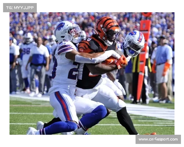 爱国者客场击败猛虎,保持季后赛希望 爱国者客场击败猛虎,保持季后赛希望